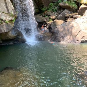 Meet your Posher, Candice